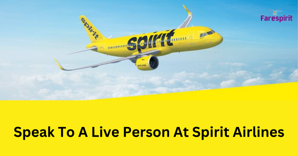 Spirit Airlines Customer Service - Talk To A Live Person